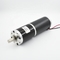48v 1hp इलेक्ट्रिक BLDC ब्रशलेस डीसी मोटर अनुकूलित